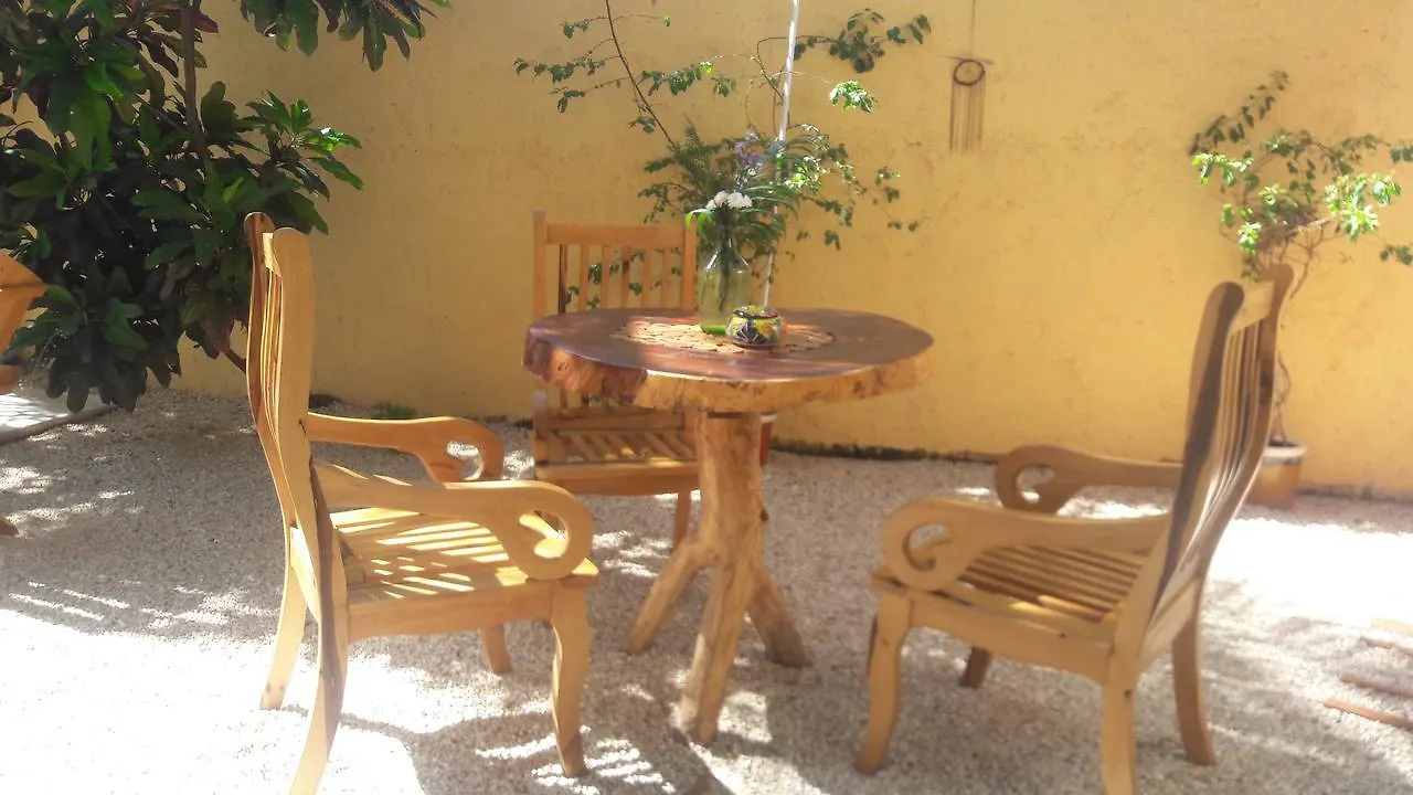 Art Hotel Tulum